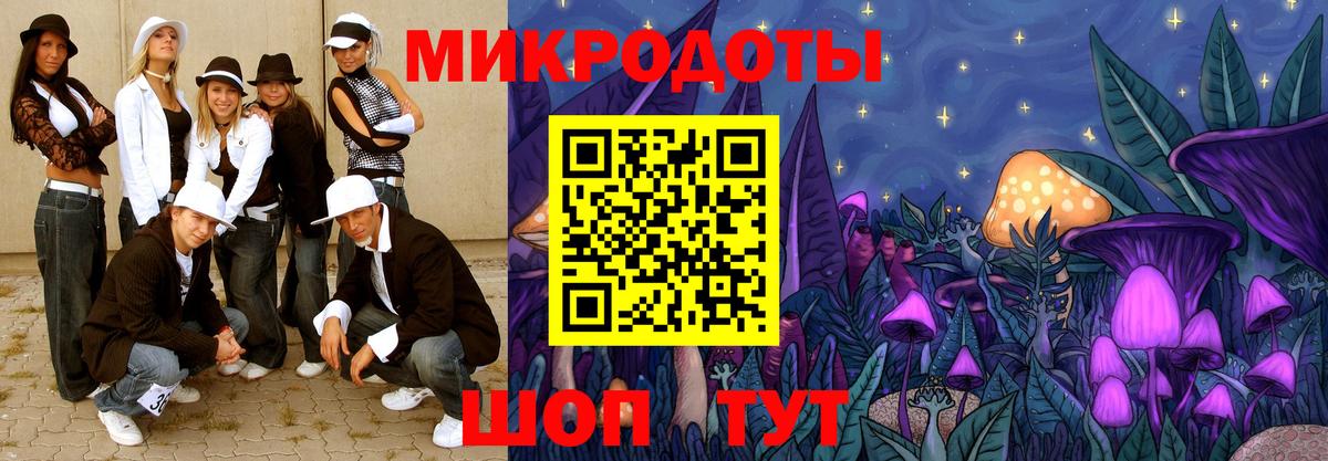 Псилоцибиновые грибы Psilocybine cubensis Новочеркасск